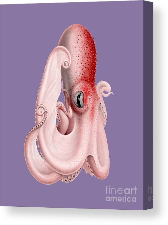 Octopus Canvas Print featuring the digital art Bathypolypus by Madame Memento