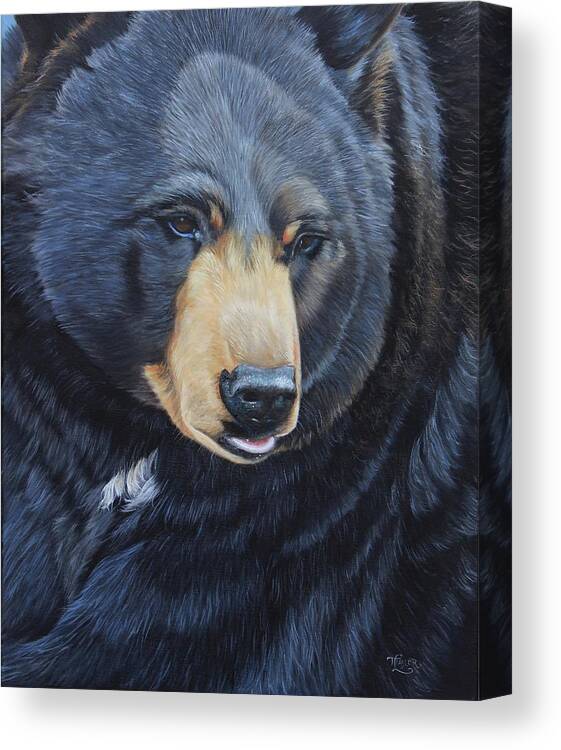 Bear Canvas Print featuring the painting Bear Gaze by Tammy Taylor