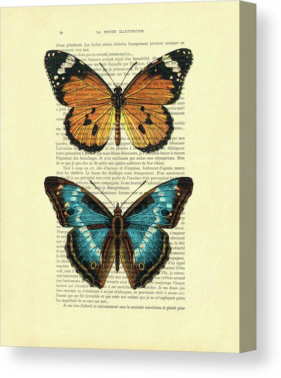 Butterfly Canvas Print featuring the mixed media Big Butterflies by Madame Memento