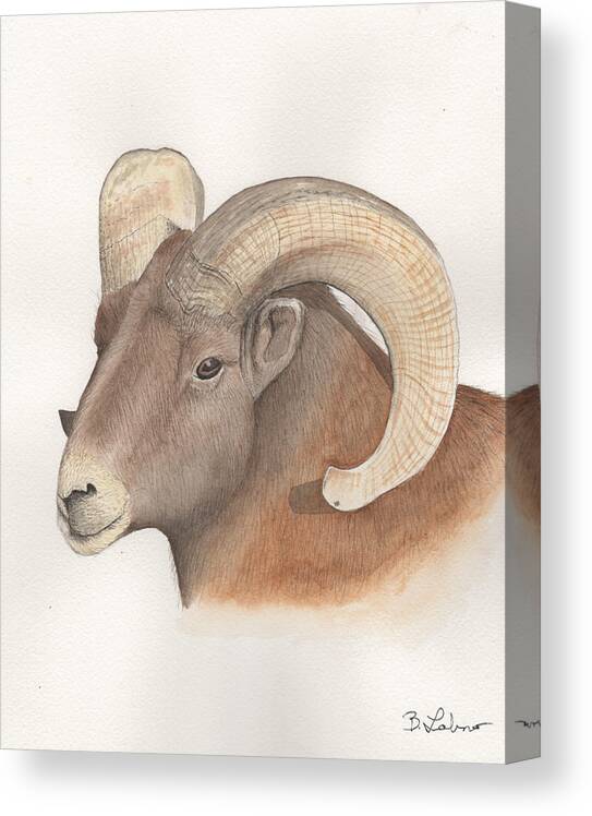 Bighorn Sheep Canvas Print featuring the painting Bighorn Sheep by Bob Labno