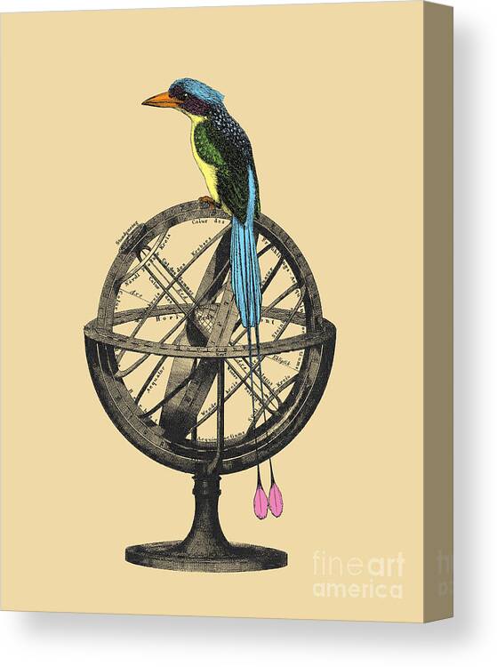 Bird Canvas Print featuring the digital art Bird With Armillary Sphere by Madame Memento