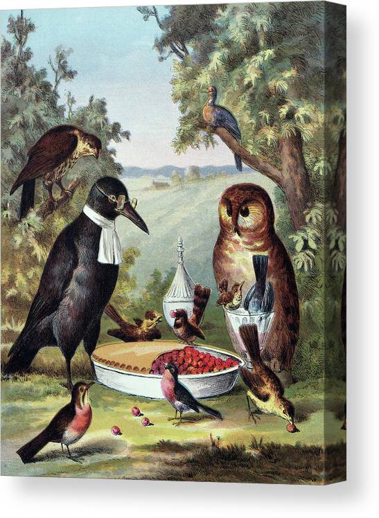 Birds Canvas Print featuring the painting Birds in Picnic by Long Shot