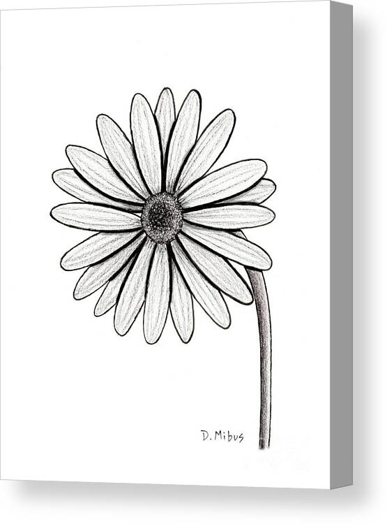 Marguerite Daisy Canvas Print featuring the drawing Black and White Marguerite Daisy by Donna Mibus