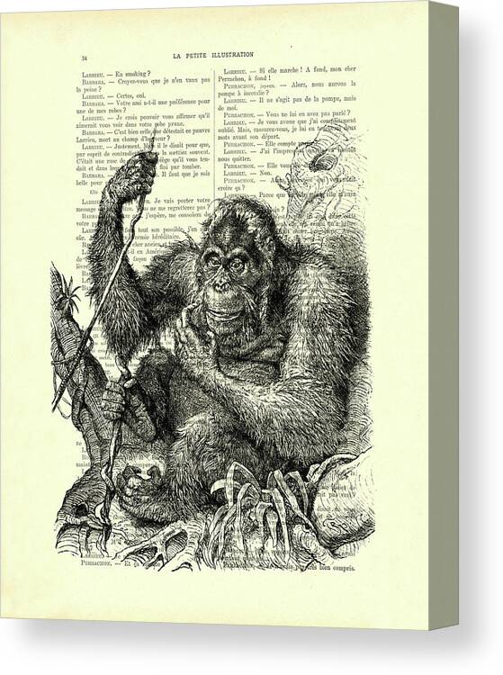 Orangutan Canvas Print featuring the digital art Black and white orangutang in the jungle by Madame Memento