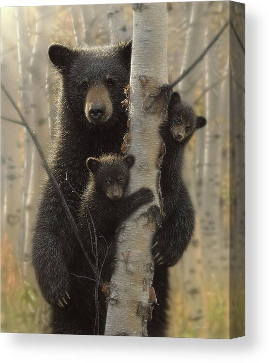 Black Bear Cubs Canvas Print featuring the mixed media Black Bear Mother and Cubs - Mama Bear by Collin Bogle