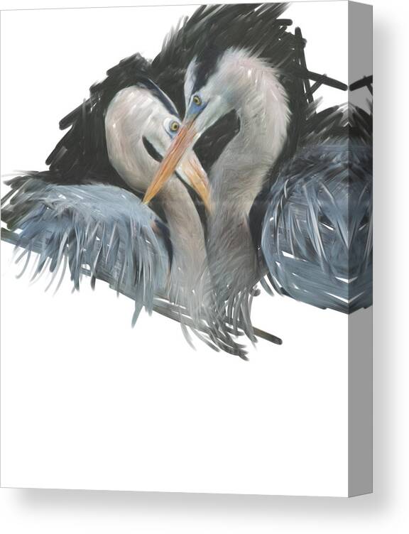 Heron Canvas Print featuring the digital art Blue Heron Love by Cynthia Westbrook