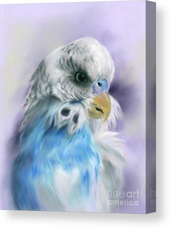 Bird Canvas Print featuring the painting Blue Parakeet Bird Portrait by MM Anderson