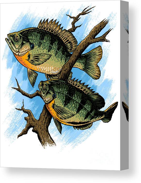 Large Mouth Bass Fishing Graphic print Digital Art by Jacob Hughes