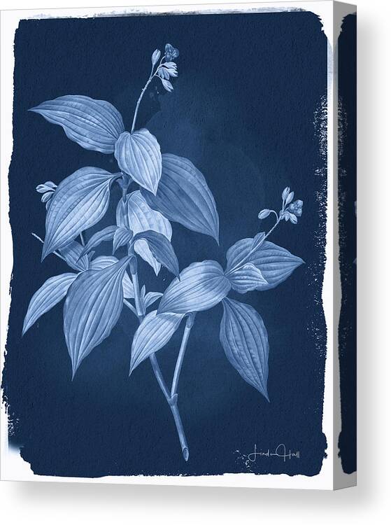 Digital Canvas Print featuring the digital art Botanical Cyanotype Series No. One by Linda Lee Hall