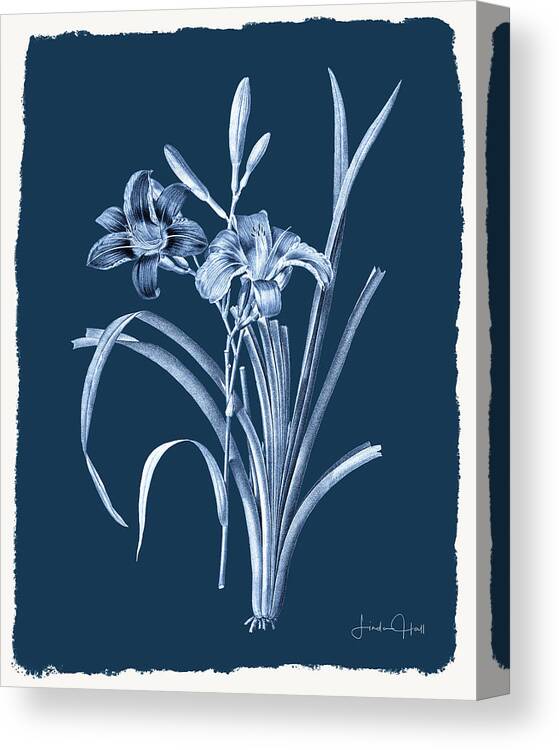 Digital Canvas Print featuring the digital art Botanical Cyanotype Series No. Six by Linda Lee Hall