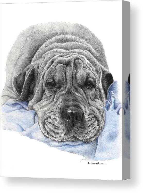 Dog Canvas Print featuring the drawing Bubba by Louise Howarth