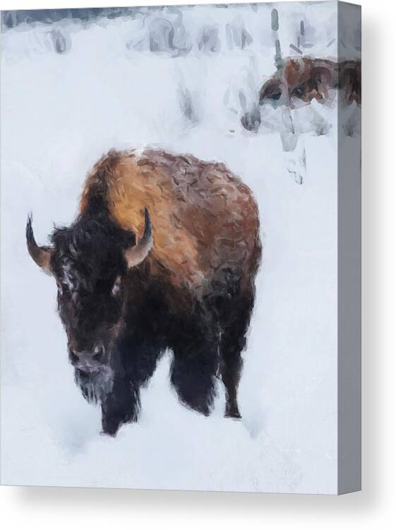 Buffalo Canvas Print featuring the painting Buffalo Morning by Gary Arnold