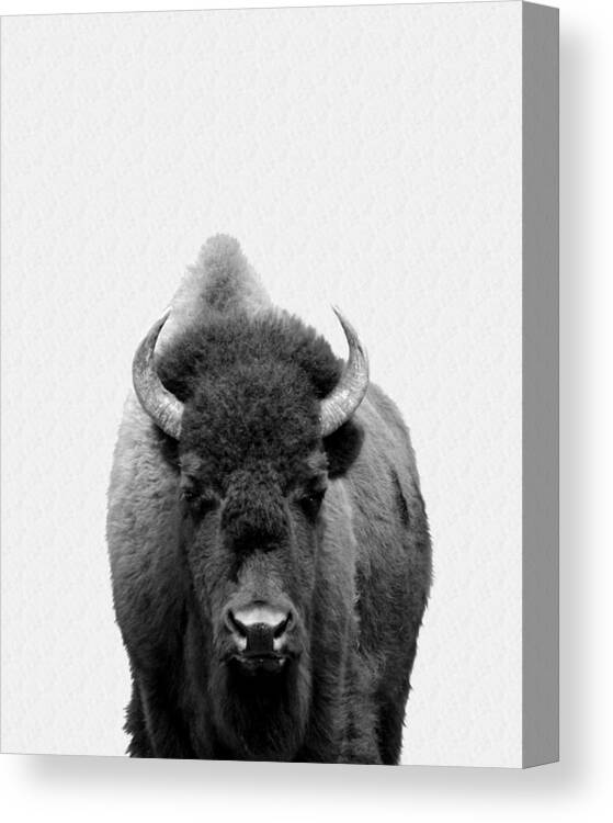 Buffalo Canvas Print featuring the photograph Buffalo Photo 135 black and white by Lucie Dumas