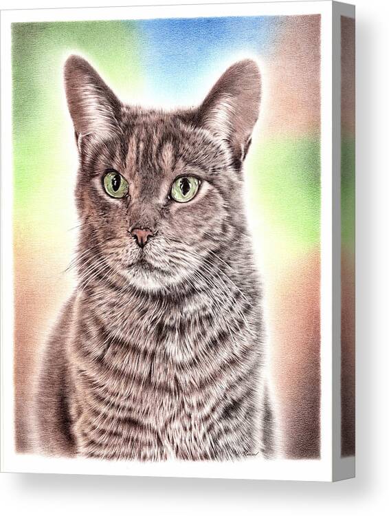 Cat Canvas Print featuring the drawing Cat by Casey 'Remrov' Vormer