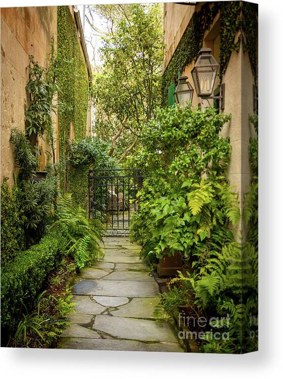 Charleston Canvas Print featuring the photograph Charleston Garden Walkway - View 7 by Sturgeon Photography