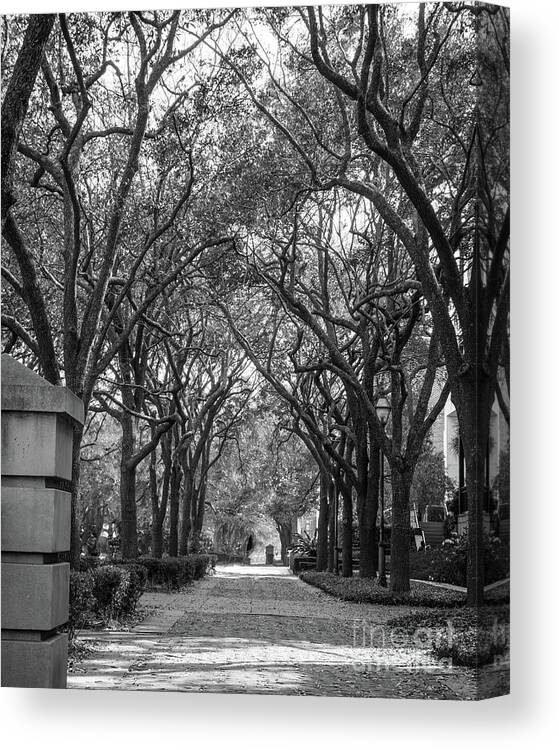 Charleston Canvas Print featuring the photograph Charleston Waterfront Park walkway, S.C, black and white. by Sturgeon Photography