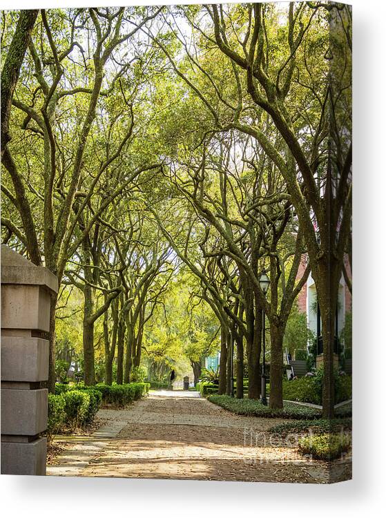 Charleston Canvas Print featuring the photograph Charleston Waterfront Park walkway, S.C. by Sturgeon Photography