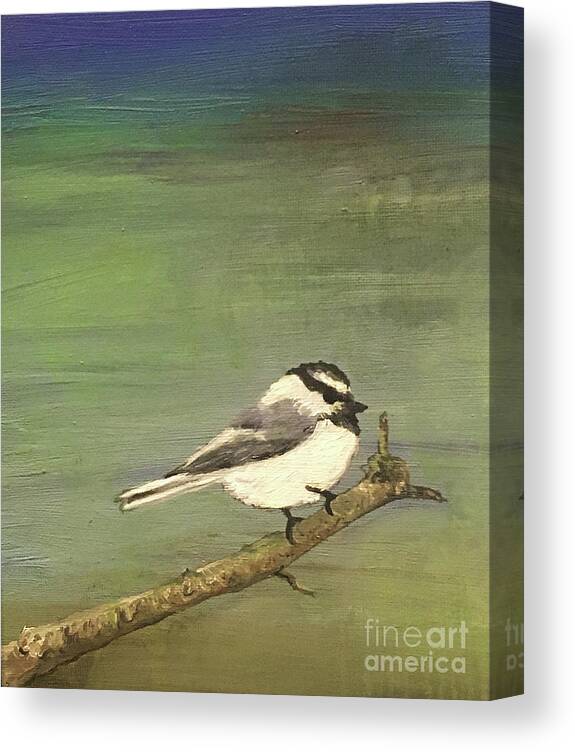 Mountain Chickadee Canvas Print featuring the painting Chickadee dee dee by Shelley Myers