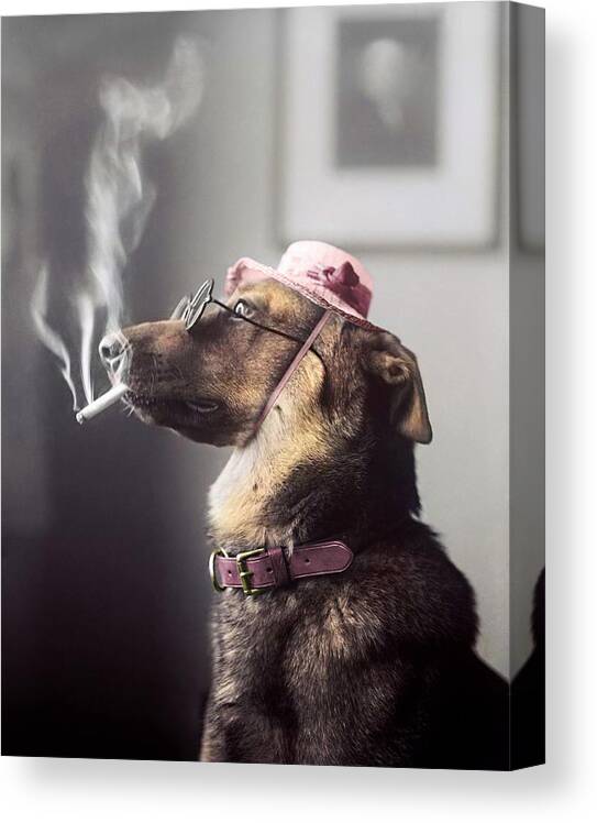 Classy Dog Smoking a Cigarette - Colorized Canvas Print / Canvas Art by ...