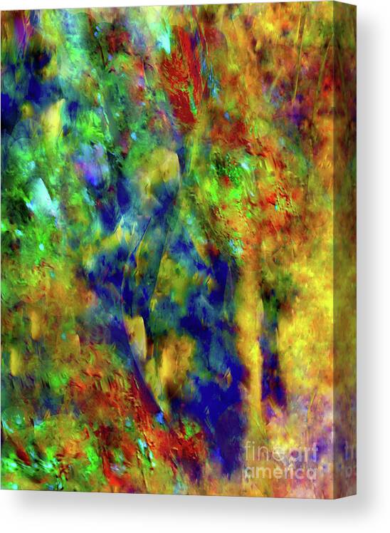 A-fine-art-painting-abstract Canvas Print featuring the mixed media Color Rush by Catalina Walker
