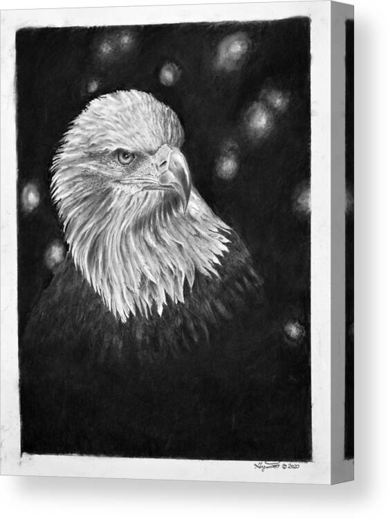 Eagle Canvas Print featuring the drawing Commanding Gaze by Greg Fox
