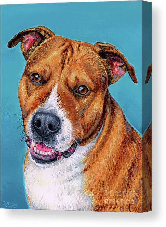 Dog Canvas Print featuring the painting Cooper the Pitbull Terrier by Rebecca Wang