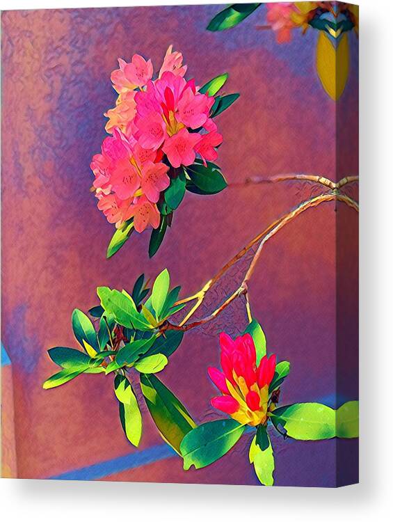 Coral Canvas Print featuring the photograph Coral Flowers by Juliette Becker
