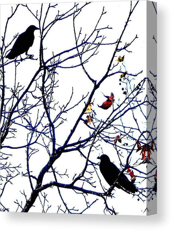 Bird. Birds Canvas Print featuring the photograph Crows Branching by Andrew Lawrence