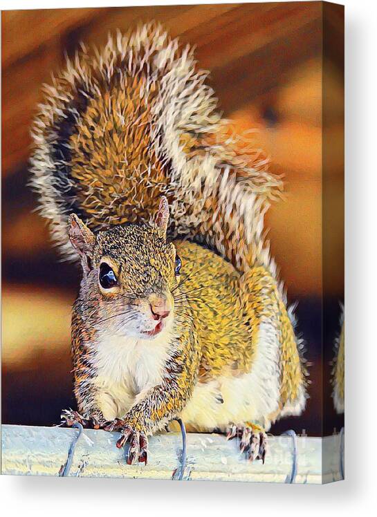 Squirrel Canvas Print featuring the photograph Cuteness Overload 2 by Joanne Carey