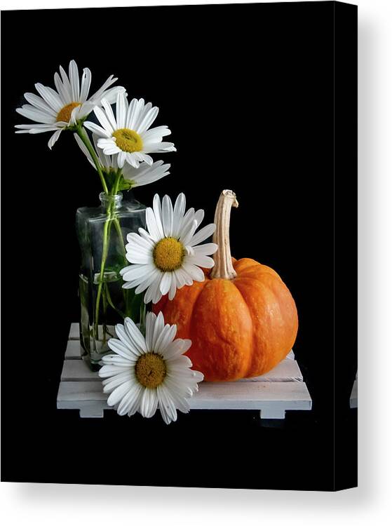 Flowers Canvas Print featuring the photograph Daisies and Pumpkin by Cathy Kovarik
