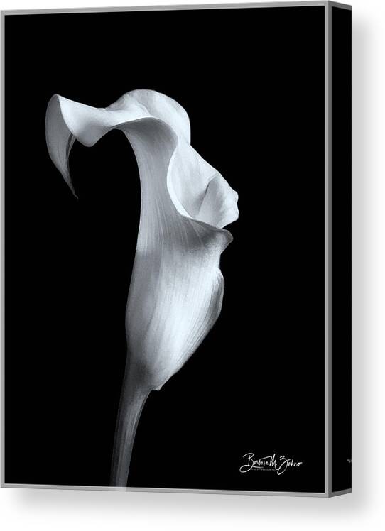 Flower Canvas Print featuring the photograph Dancing Lily by Barbara Zahno
