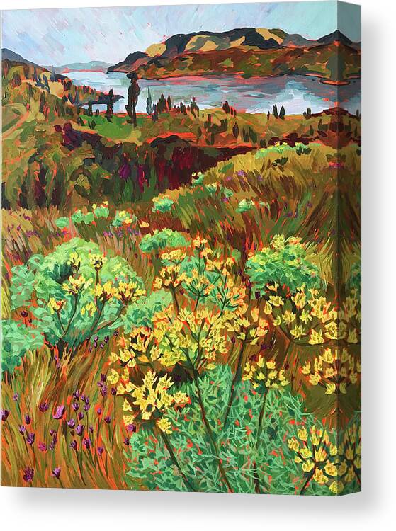 Landscape Canvas Print featuring the painting Desert Parsley at Catherine Creek by Anisa Asakawa