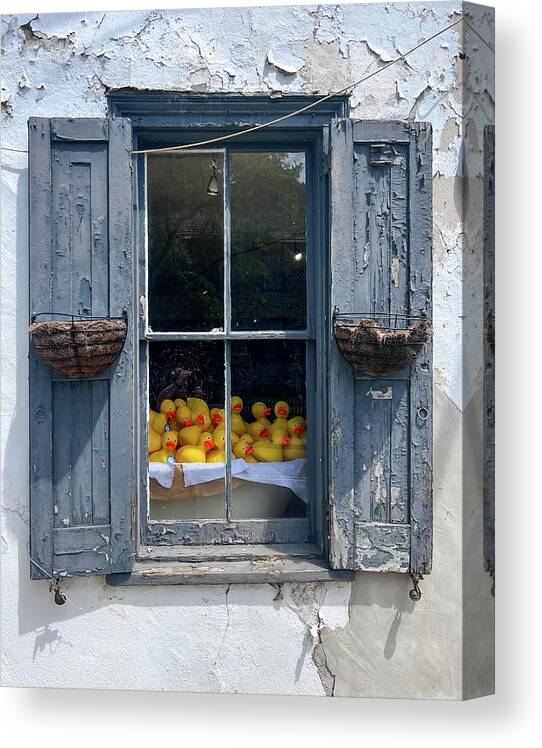 New Hope Canvas Print featuring the photograph Duck Window by David Letts