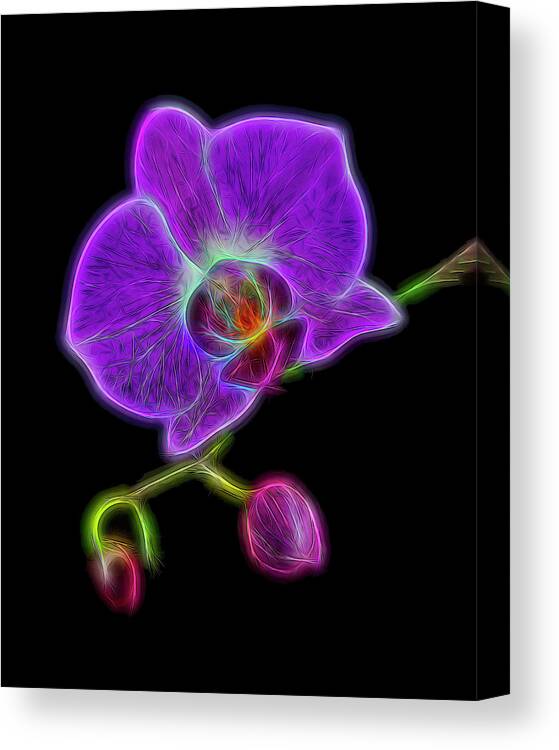 Orchid Canvas Print featuring the photograph Electric Orchid by Cathy Kovarik