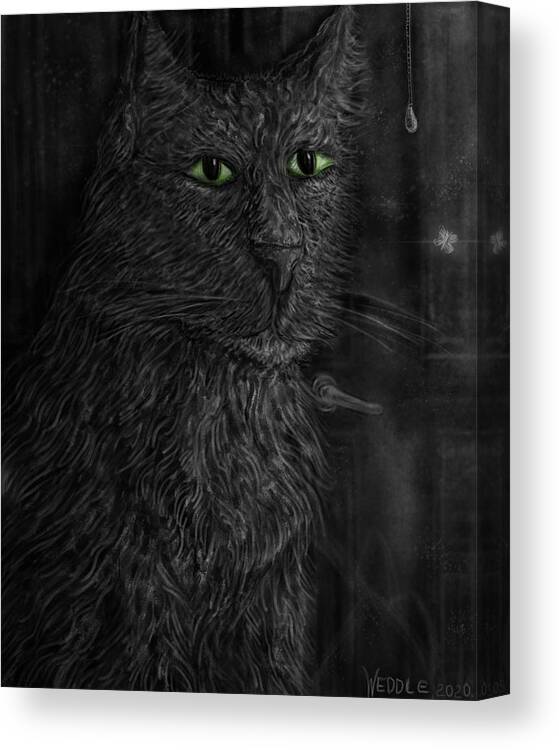 Cat Canvas Print featuring the digital art Enchanted by Angela Weddle