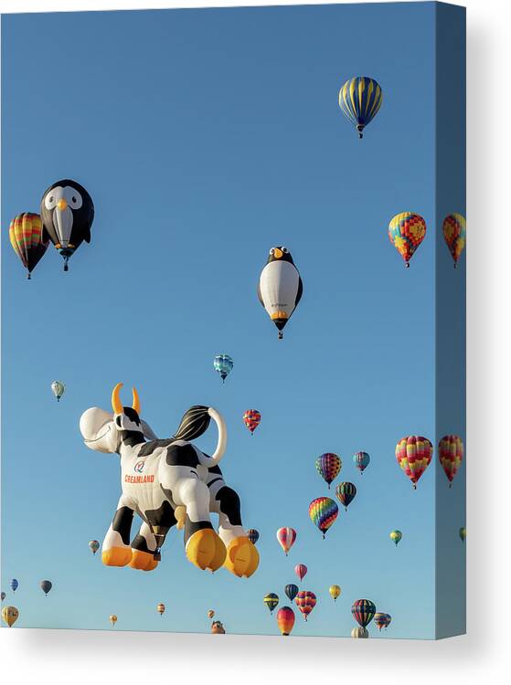 Hot Air Balloons Canvas Print featuring the photograph Flying Penguins and Airabelle the Cow Aloft by Susan Rissi Tregoning