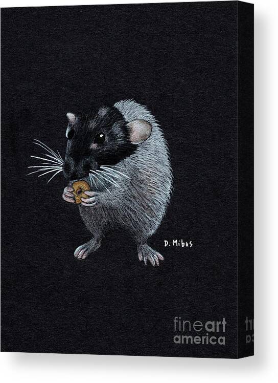 Dumbo Rat Canvas Print featuring the drawing Frances Eats a Donut Color by Donna Mibus