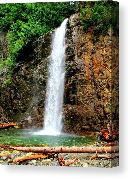 Water Canvas Print featuring the photograph Franklin Falls by Martin Cline