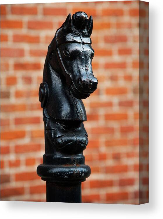 Louisiana Canvas Print featuring the photograph French Quarter Horse Head by Andy Crawford