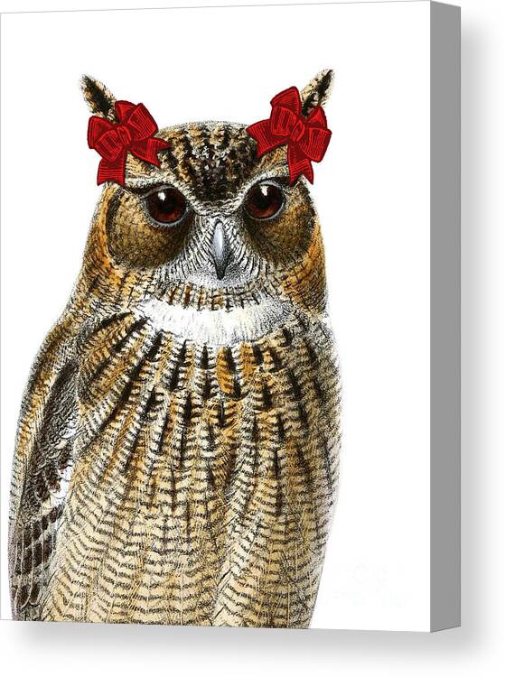 Owl Canvas Print featuring the digital art Funny Owl Girl by Madame Memento