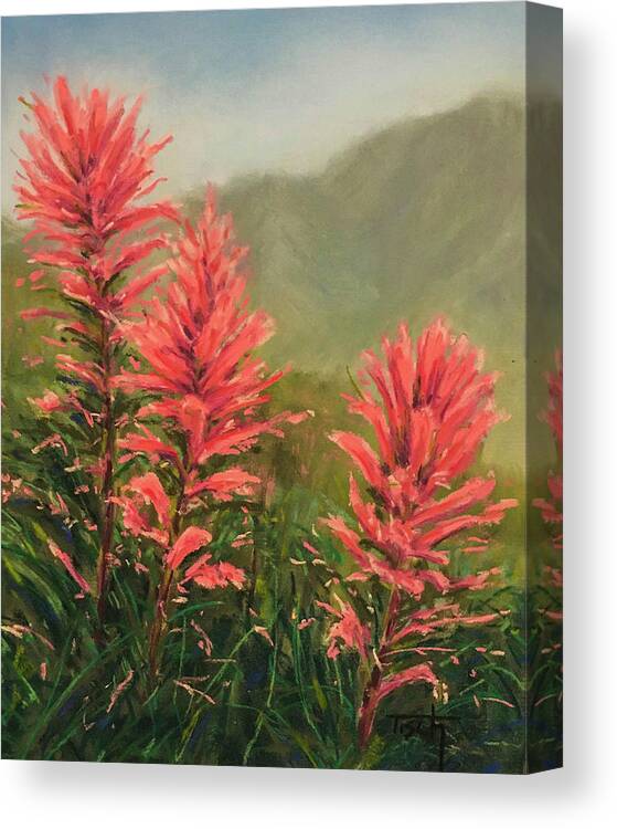 Flowers Wildflowers Canvas Print featuring the pastel Glacier Paintbrush by Lee Tisch Bialczak