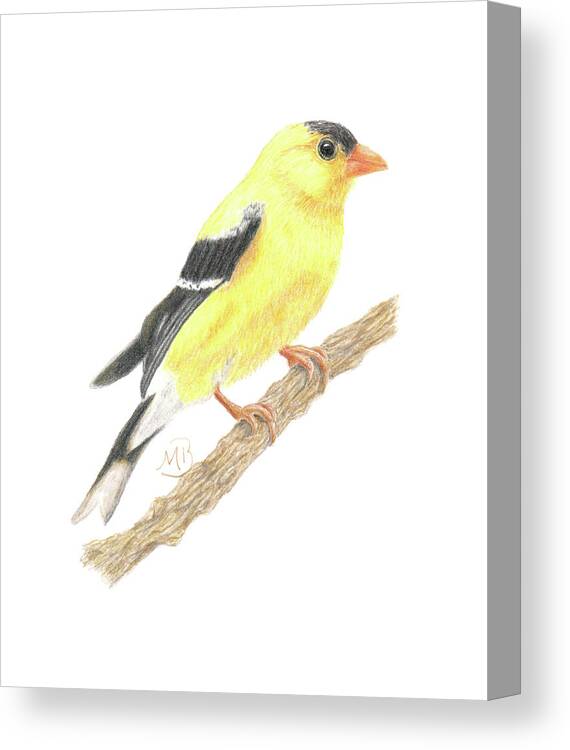 Bird Canvas Print featuring the painting Goldfinch by Monica Burnette