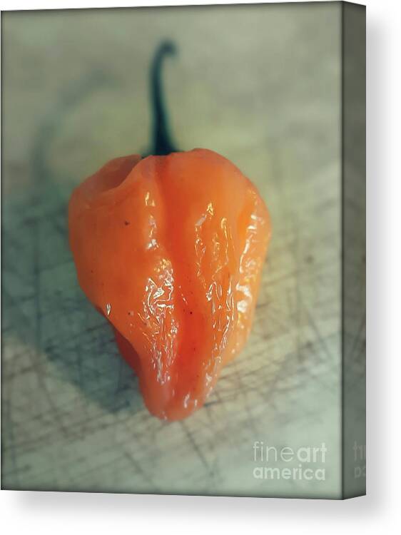Spicy Canvas Print featuring the photograph Habanero Chili Pepper by Tony Baca