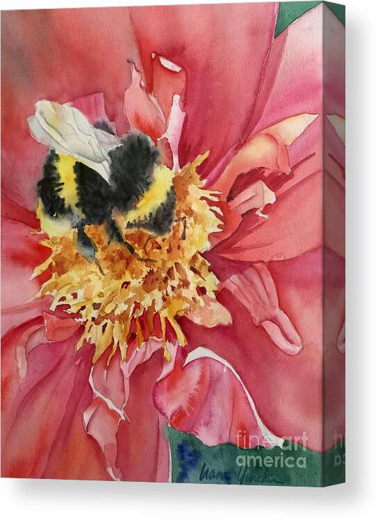 Bee Canvas Print featuring the painting Honey Bee by Liana Yarckin