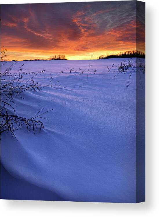Winter Canvas Print featuring the photograph Hot and Cold by Dan Jurak