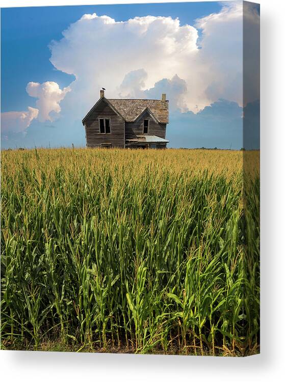 Corn Field Canvas Print featuring the photograph House of Corn by Aaron J Groen