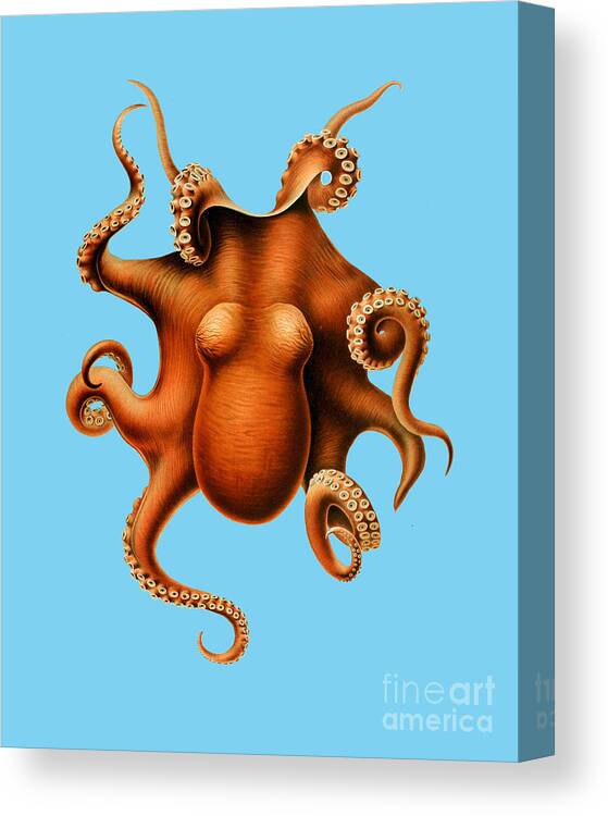 Octopus Canvas Print featuring the digital art Huge Octopus by Madame Memento
