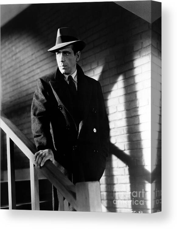 Film Noir Canvas Print featuring the photograph Humphrey Bogart - The Maltese Falcon by Sad Hill - Bizarre Los Angeles Archive