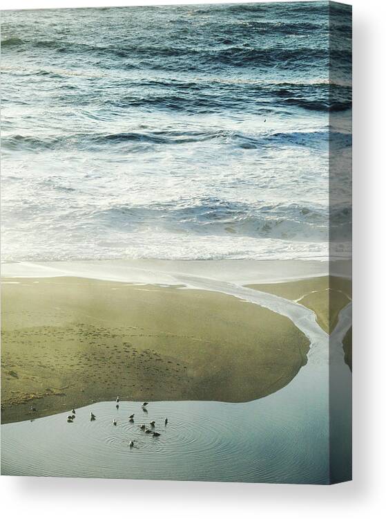 Ocean Canvas Print featuring the photograph Into the Sea by Lupen Grainne