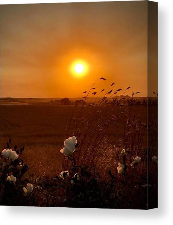 Iphonography Canvas Print featuring the photograph iPhonography Sunset 1 by Julie Powell